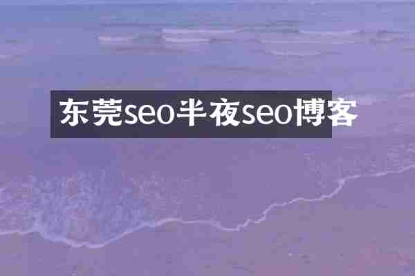 东莞seo半夜seo博客