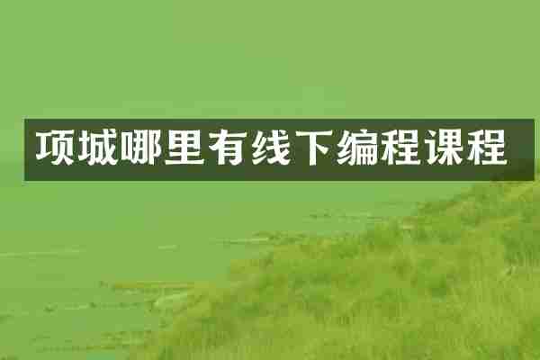 项城哪里有线下编程课程