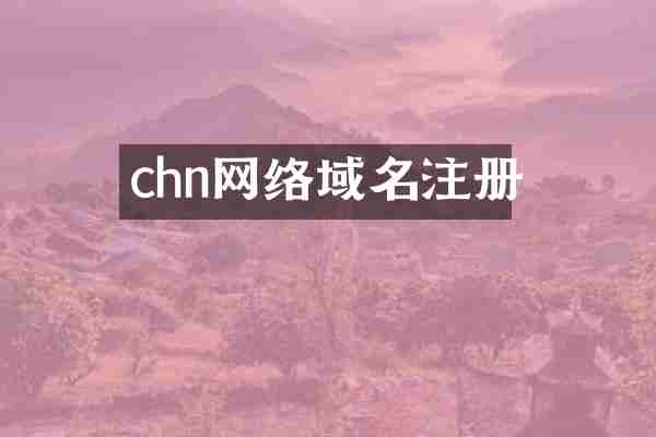 chn网络域名注册