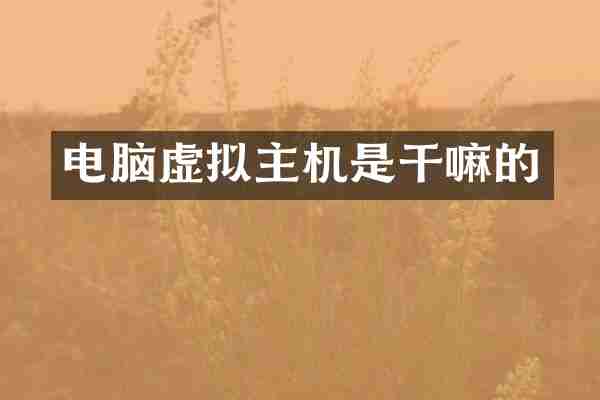 电脑虚拟主机是干嘛的