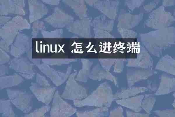 linux 怎么进终端