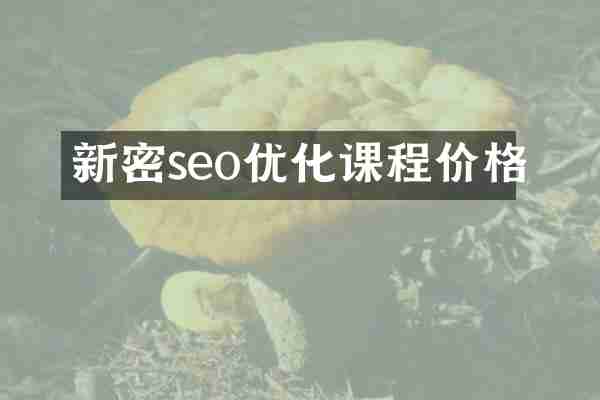 新密seo优化课程价格