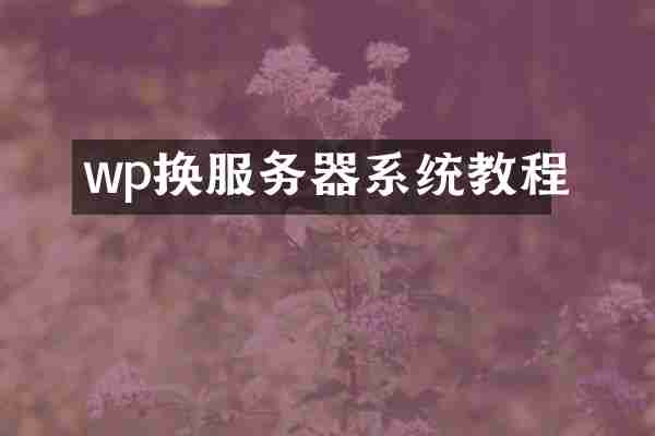 wp换服务器系统教程