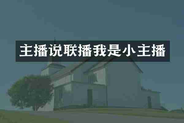 主播说联播我是小主播
