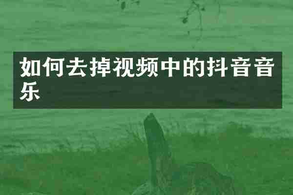 如何去掉视频中的抖音音乐