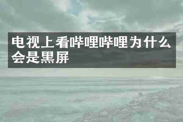 电视上看哔哩哔哩为什么会是黑屏