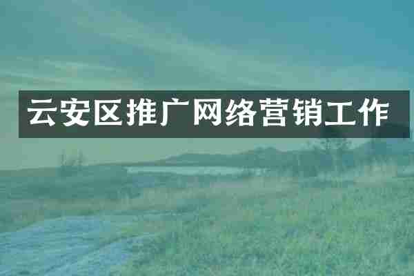 云安区推广网络营销工作