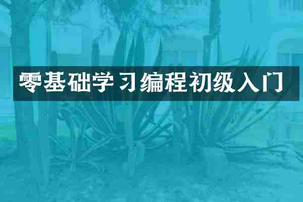 零基础学习编程初级入门
