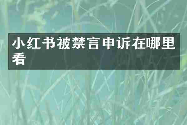 小红书被禁言申诉在哪里看