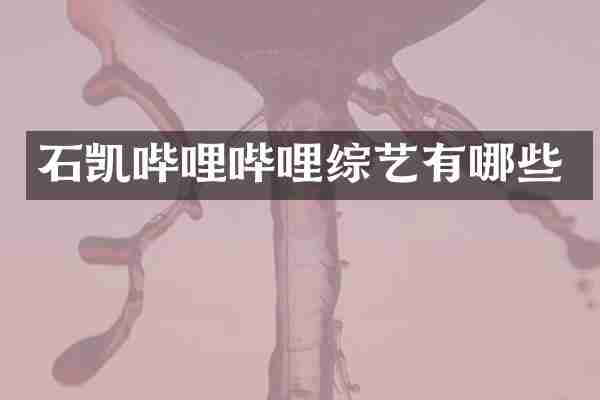 石凯哔哩哔哩综艺有哪些