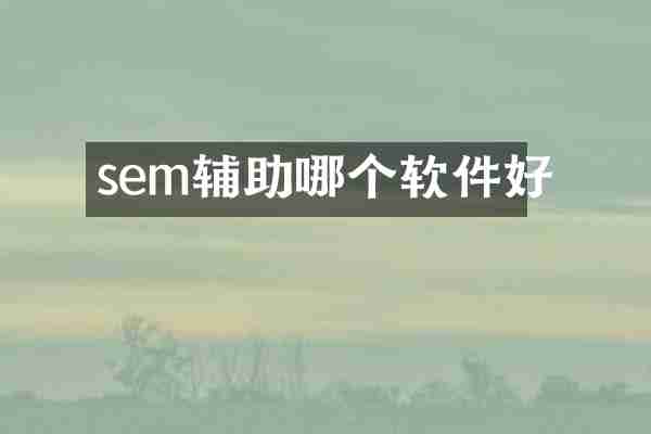 sem辅助哪个软件好