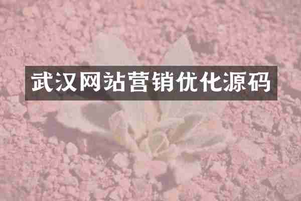 武汉网站营销优化源码