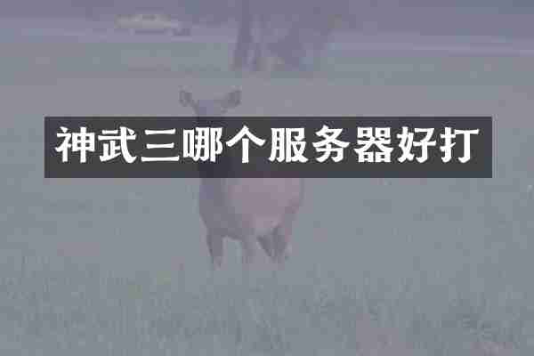 神武三哪个服务器好打