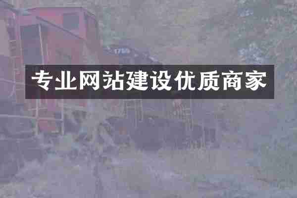 专业网站建设优质商家