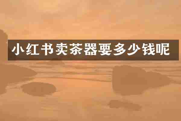 小红书卖茶器要多少钱呢