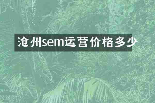 沧州sem运营价格多少