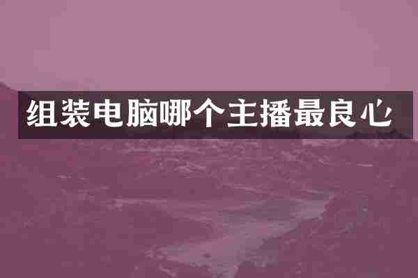 组装电脑哪个主播最良心