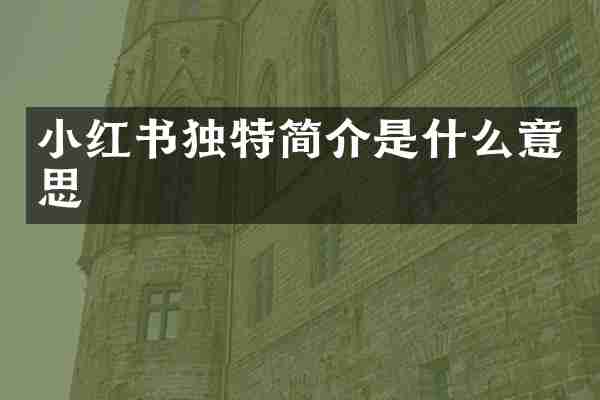 小红书独特简介是什么意思