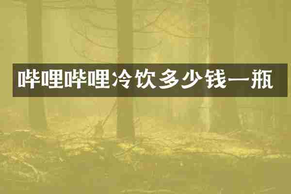 哔哩哔哩冷饮多少钱一瓶
