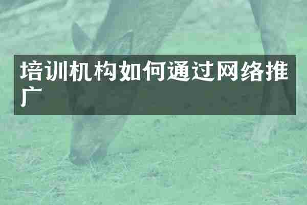 培训机构如何通过网络推广