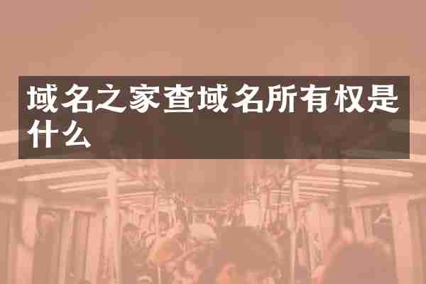 域名之家查域名所有权是什么