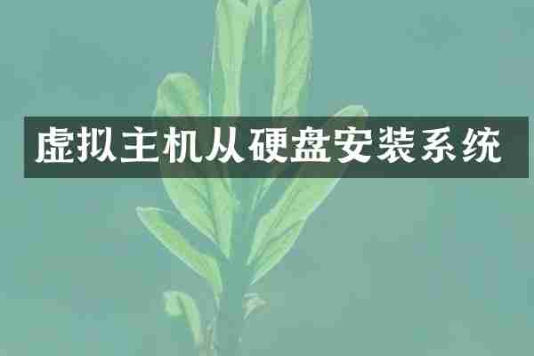虚拟主机从硬盘安装系统