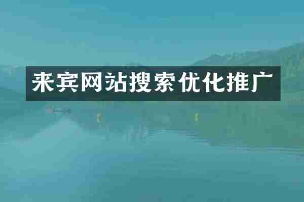 来宾网站搜索优化推广