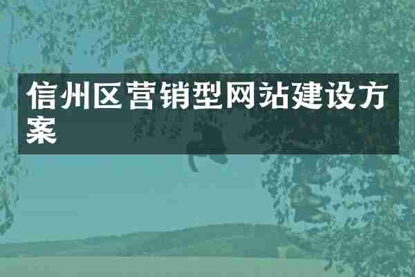 信州区营销型网站建设方案
