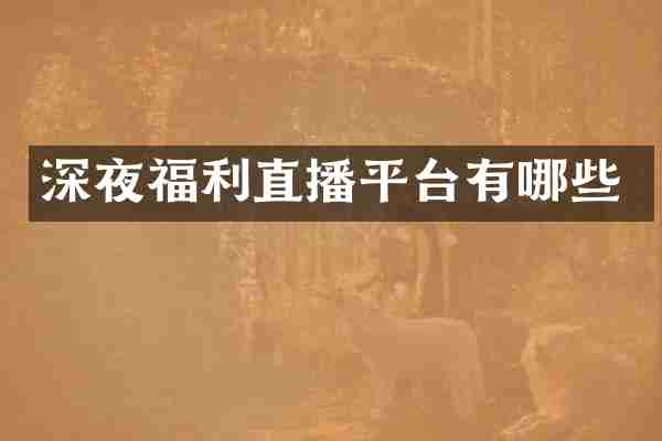 深夜福利直播平台有哪些