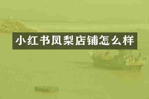 小红书凤梨店铺怎么样