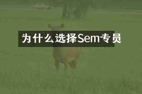 为什么选择Sem专员