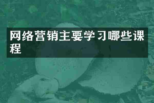 网络营销主要学习哪些课程