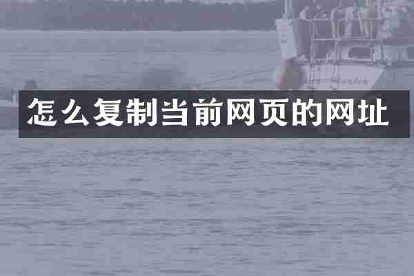 怎么复制当前网页的网址