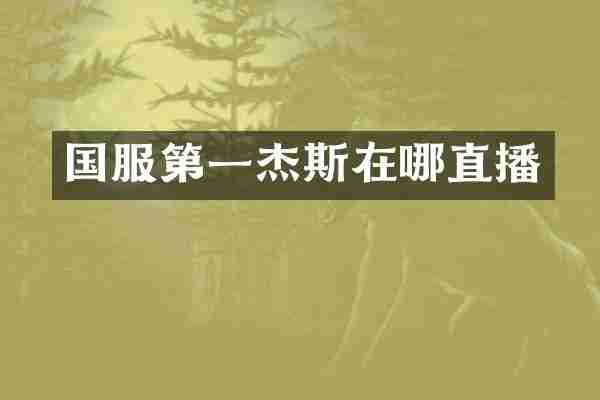 国服第一杰斯在哪直播