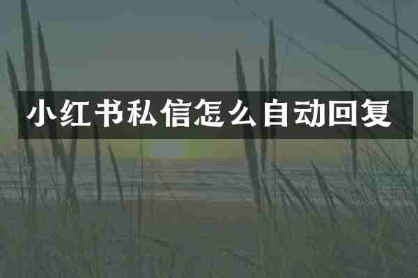 小红书私信怎么自动回复