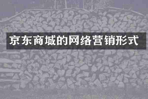 京东商城的网络营销形式