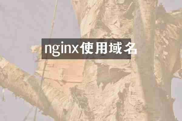nginx使用域名