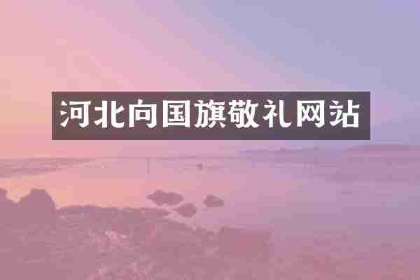 河北向国旗敬礼网站