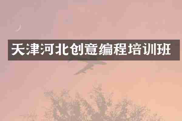 天津河北创意编程培训班