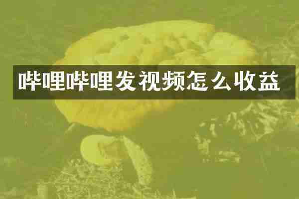 哔哩哔哩发视频怎么收益