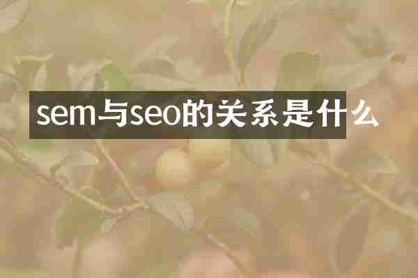 sem与seo的关系是什么