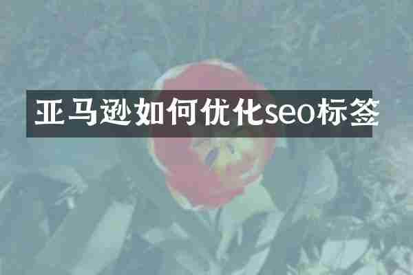 亚马逊如何优化seo标签
