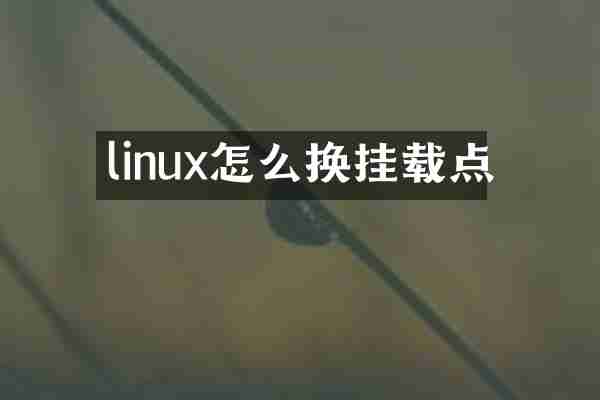 linux怎么换挂载点