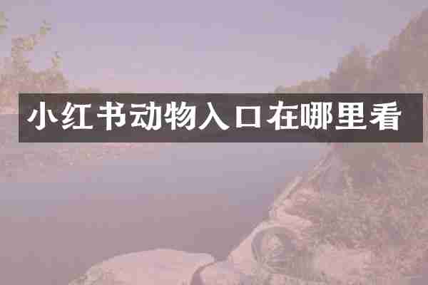 小红书动物入口在哪里看