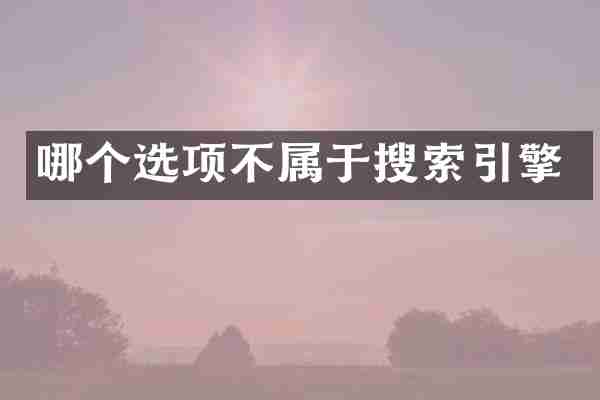 哪个选项不属于搜索引擎