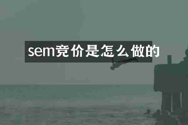 sem竞价是怎么做的