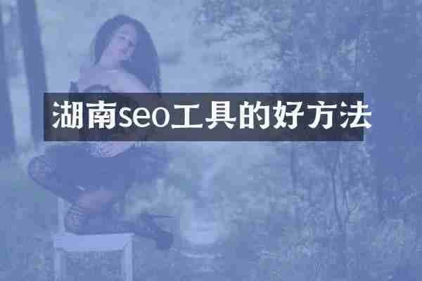 湖南seo工具的好方法
