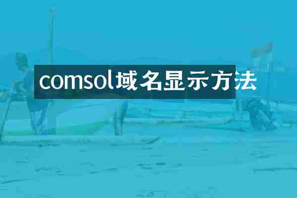 comsol域名显示方法