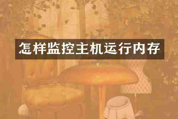 怎样监控主机运行内存