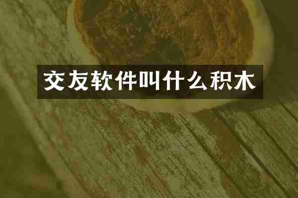 交友软件叫什么积木